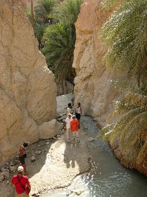 Tunisia - Chebika