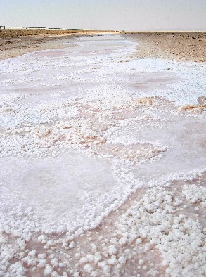 Tunisia - Chott El Jerid