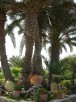 Tunisia - Villaggio Rym Beach